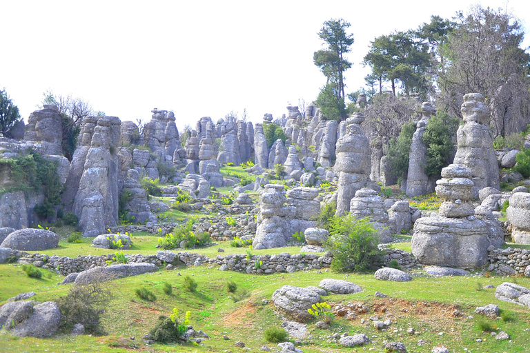 塔齐峡谷、阿凡达乐园和塞尔格古城之旅