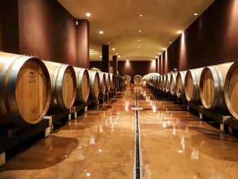 Gardasee: Wein-Tour und Weinverkostung in Bardolino