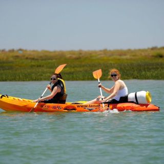 Algarve: 2-Hour Ria Formosa Kayak Tour from Faro