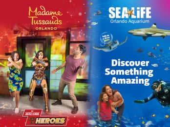 Orlando: Madame Tussauds und Sea Life Aquarium - Kombi-Tour Orlando: Madame Tussauds und Sea Life Aquarium - Kombi-Tour