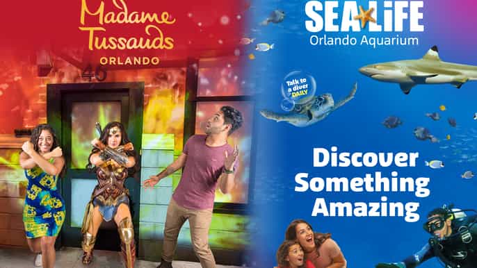 orlando madame tussauds and sea life aquarium combo ticket