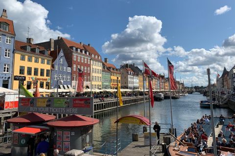Copenhague: visita guiada a pie