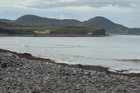 Belfast: Private Custom Tour with Driver and Guide