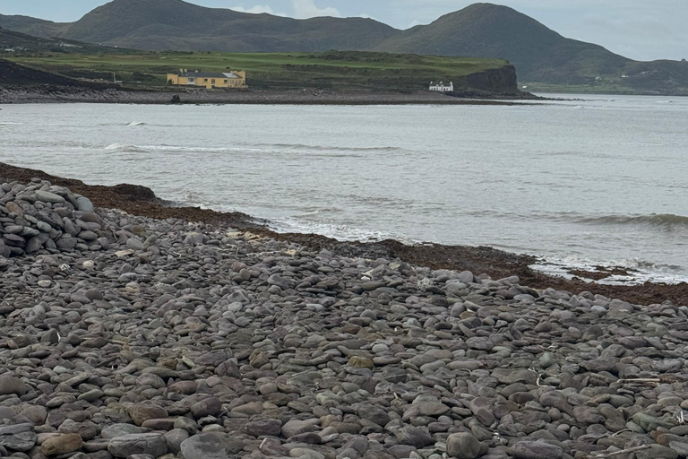 Belfast: Private Custom Tour with Driver and Guide