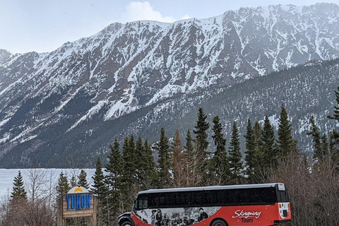 Skagway: طريق كلوندايك السريع وجولة بحافلة يوكون مع Husky Kennel