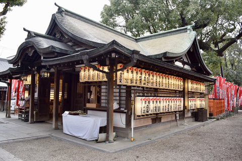 Your PERFECT Osaka Day - Custom Private Tour by Awarded Team 8 hours Public Transportation + Taxi