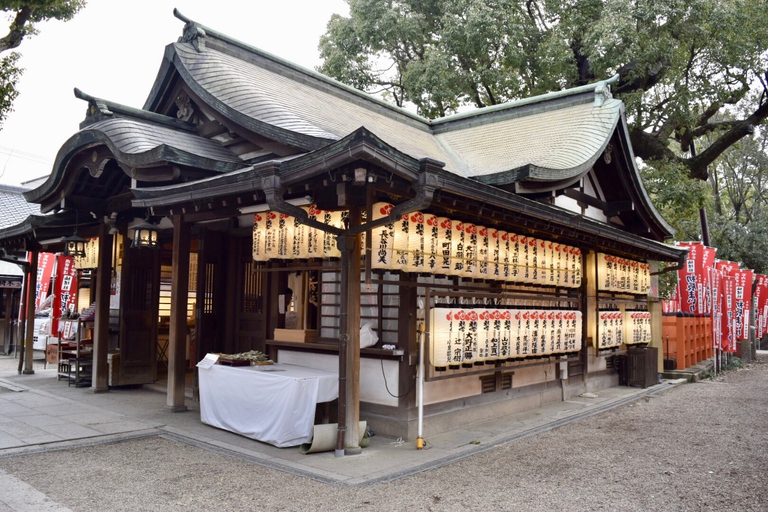 Your PERFECT Osaka Day - Custom Private Tour by Awarded Team 8 hours Public Transportation + Taxi