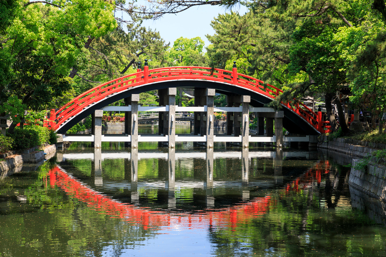 Your PERFECT Osaka Day - Custom Private Tour by Awarded Team 8 hours Public Transportation + Taxi