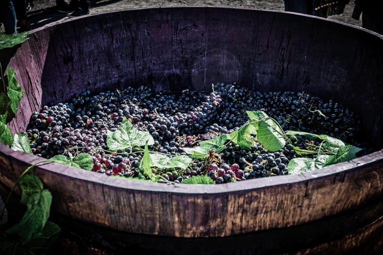 Ereván: Excursión de un día de vino de Areni