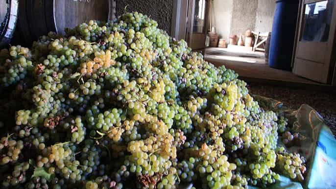 eriwan ganztägiger weinausflug nach areni