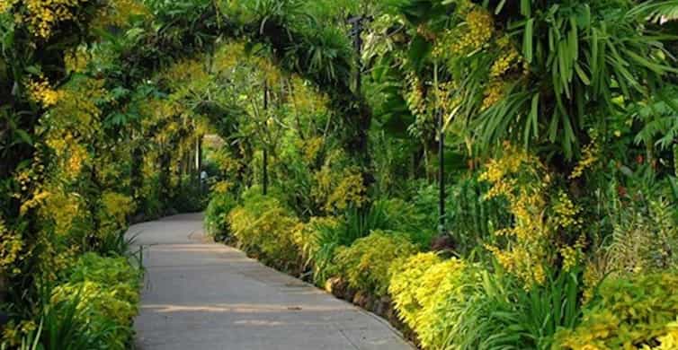 Singapore: National Orchid Garden Entry Tickets photo 5
