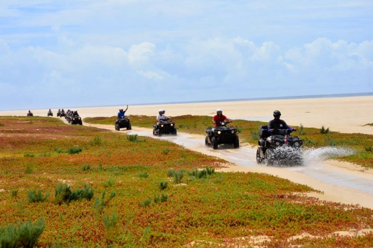 Boa Vista-eiland: halve dag Viana Desert Quad Bike Adventure1 enkele quad voor 1 persoon