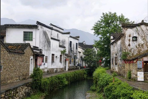 Shanghai: Fuyang Bayberry Picking & Ancient Town Day Trip