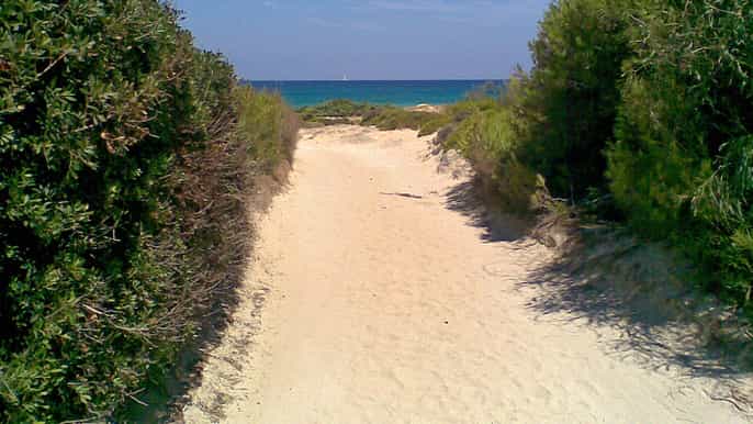 lecce private salina dei monaci and manduria day trip