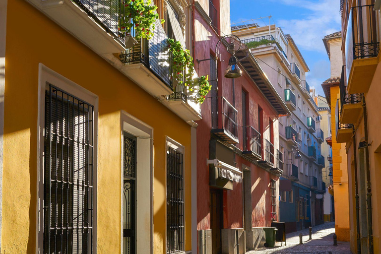 Best of Granada: Private Walking Tour with a Local Private City Tour - 6Hr