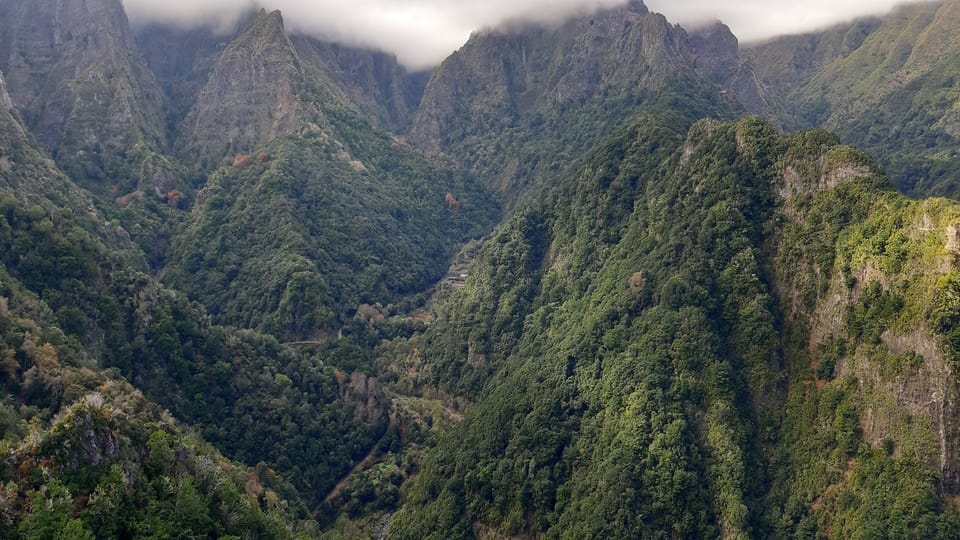 A narrow levada path curving through dense green laurel forest beside a stone water channel