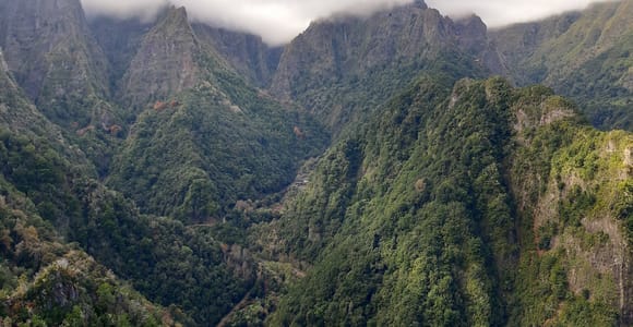 Madeira: Private 1.5-Kilometer Levada dos Balcões Hike PR11