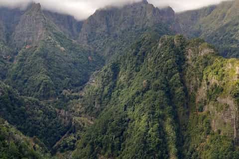 Madeira: Private 1.5-Kilometer Levada dos Balcões Hike