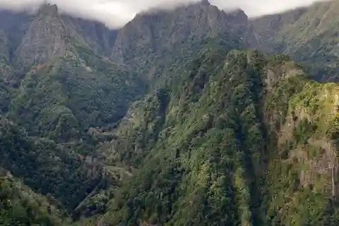 Madeira: escursione privata Levada dos Balcões di 1,5 chilometri PR11
