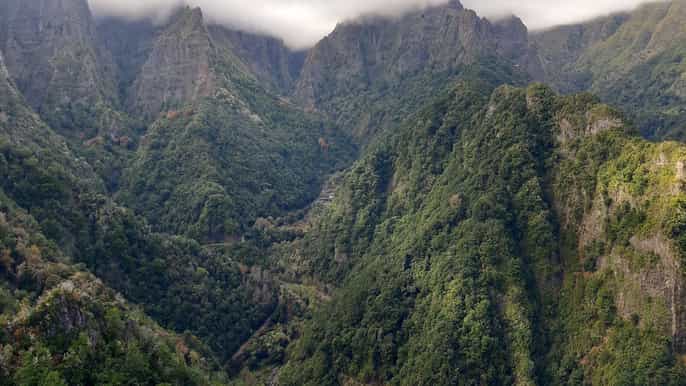 madeira private 1.5kilometer levada dos balcões hike