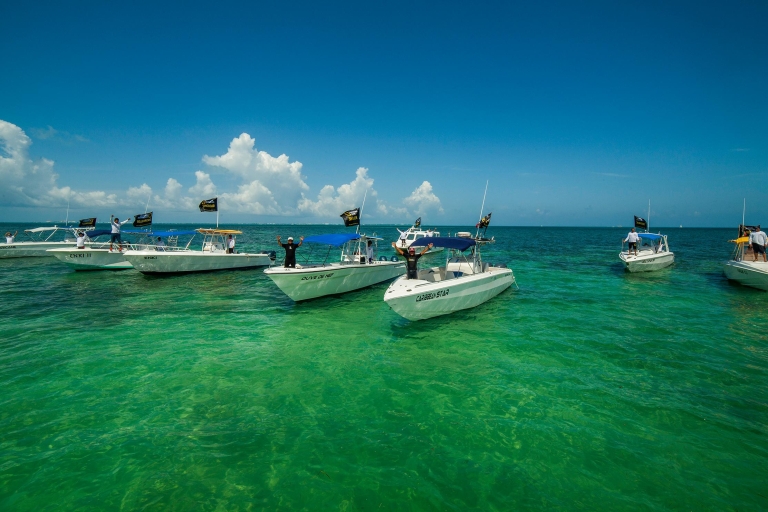 Cancún / Playa del Carmen: tour privado de tiburón ballena de 6 horasRecogida en Cancún o Isla Mujeres.