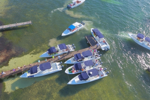 Cancun/Playa del Carmen: 6-stündige private Walhai-TourAbholung von Cancun oder Isla Mujeres