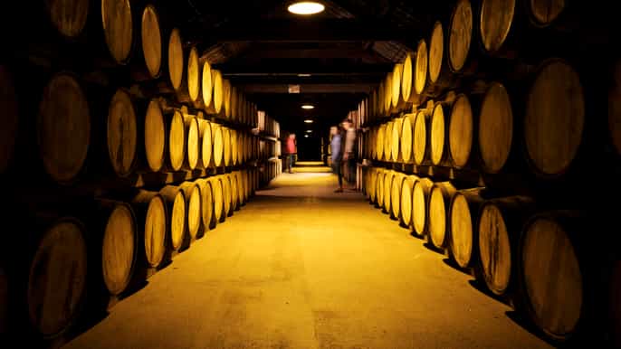 sughero tour dietro le quinte di jameson distillery midleton