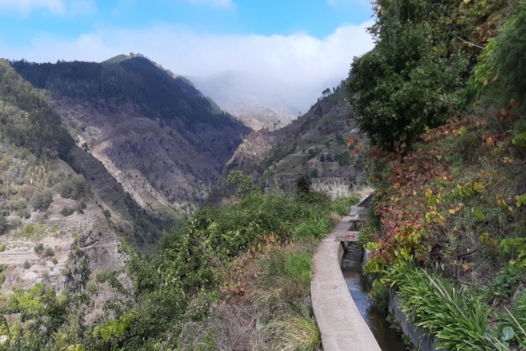 Madeira: Paseo Privado Moinhos Levada Nova Ponta do SolExcursión con recogida en el Noroeste de Madeira