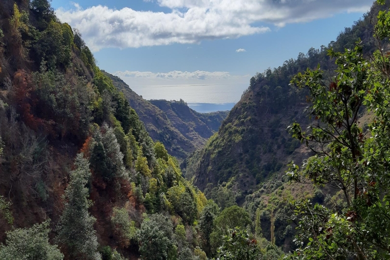 Madeira: privéwandeling Moinhos Levada Nova Ponta do SolTour met ophalen van hotels in Funchal