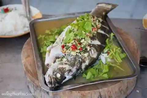 Koh Samui: Fishing Trip with Buffet Lunch and Transfers