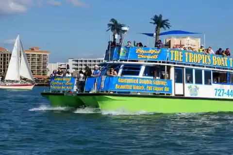 Clearwater: Swim with dolphins