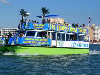Clearwater: Cruise with Guaranteed Dolphin Sightings