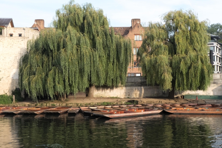 Cambridge: Student-Guided 50-Minute Punting Tour