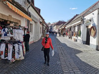 Szentendre, Half-Day Private Tour from Budapest - Housity