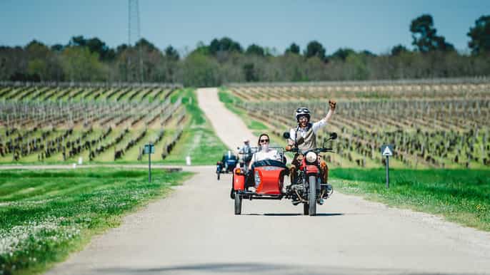 from bordeaux médoc vineyard and chateau tour by sidecar
