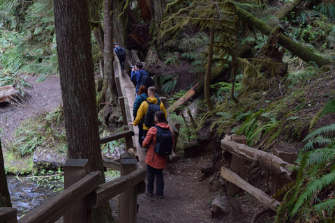 Olympic National Park: Half-Day Tour