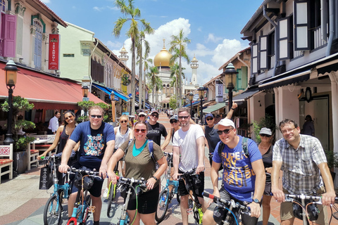 Singapore: Lion City Highlights Bike Tour