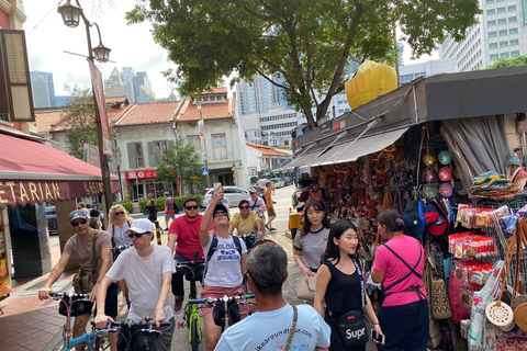 Singapore: Lion City Highlights Bike Tour