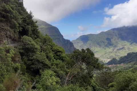 Madeira: Private Levada Fajã dos Rodrigues Walk