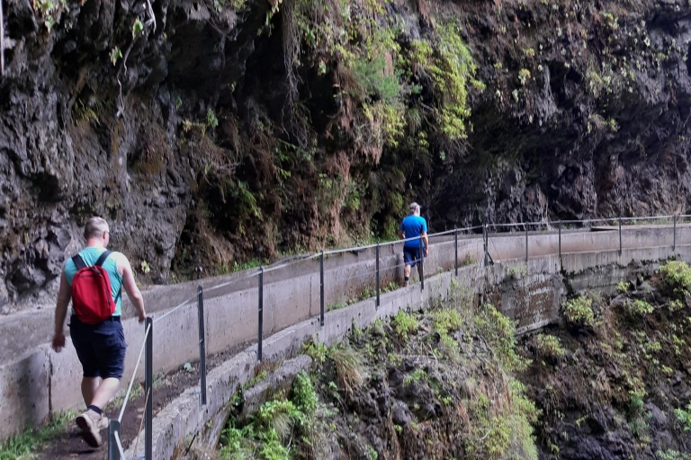 Madeira: Paseo Privado Levada Fajã dos RodriguesExcursión con recogida en Funchal