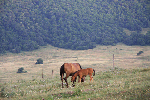 Armenia: Climb Mt. Armaghan on Horseback