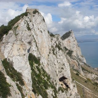 Vanuit Malaga en Costa del Sol: tour naar Gibraltar