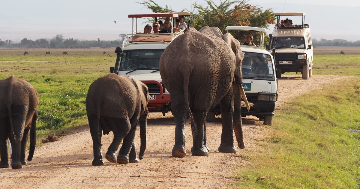 Nairobi: 4-Day Amboseli, Tsavo West & East Guided Safari