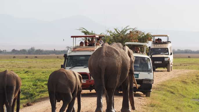 nairobi safari guiado de amboseli tsavo west e east de 4 dias
