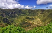 From Horta, Guided Faial Island Tour - Housity