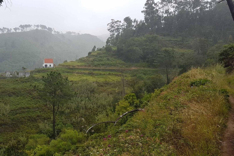Madeira: Private Levada Ponta do Pargo WanderungTour mit Nord/Süd Ost Madeira Abholung