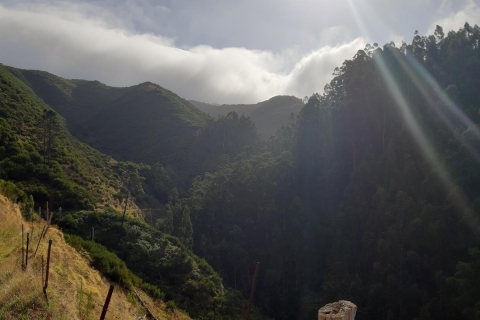 Madeira: Private Levada Ponta do Pargo WanderungTour mit Nord/Süd Ost Madeira Abholung