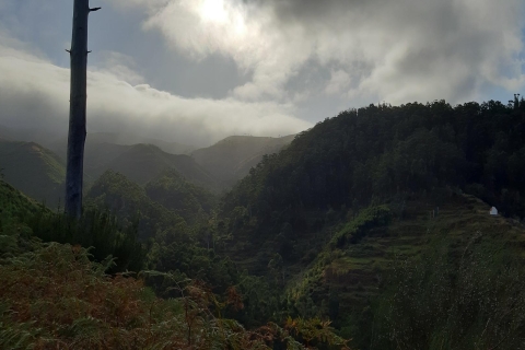 Madeira: Private Levada Ponta do Pargo WanderungTour mit Südwest-Madeira Pickup