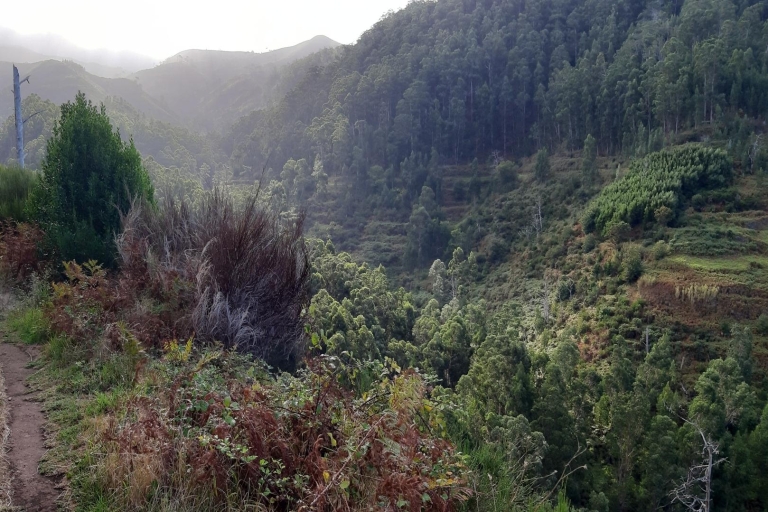 Madeira: privé Levada Ponta do Pargo-wandelingTour met Funchal Pick-up