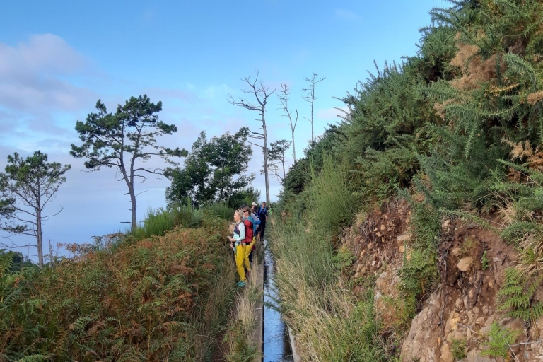 Madera: Prywatny spacer po Levadzie Ponta do PargoWycieczka z Funchal Pickup
